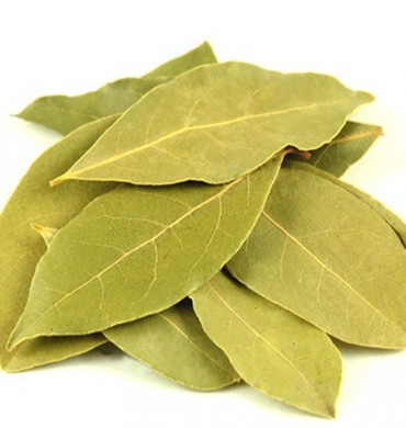 Bay Leaf