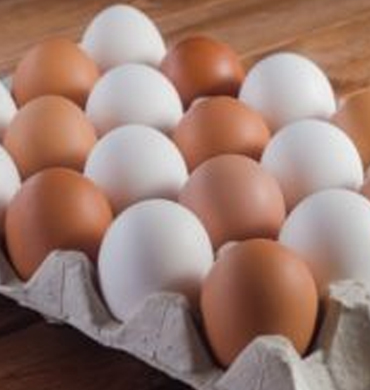 Kalimpong Filter Coffee