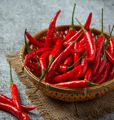 Kalimpong Filter Coffee